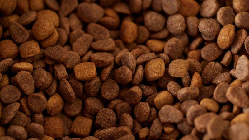 Trending Now: Drizzle on top: a new high-end dog food brand is coming for the 1%