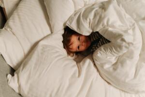 Why Do We Sleep Under Blankets, Even on the Hottest Nights? (2017)
