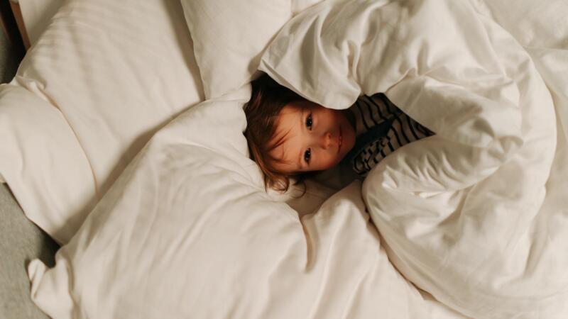 Why Do We Sleep Under Blankets, Even on the Hottest Nights? (2017)