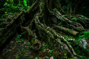 Trending Now: Clojurists Together – Q2 2026 Open Source Funding Announcement