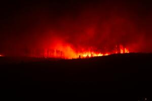 California’s Wildfire Season Is Already Overactive