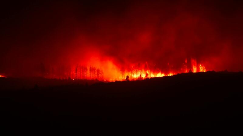 California’s Wildfire Season Is Already Overactive