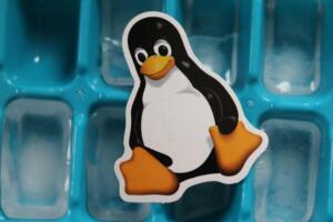 Trending Now: Show HN: Winpodx – run Windows apps on Linux as native windows