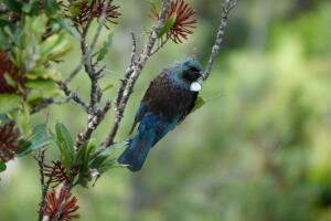 Trending Now: Why TUIs Are Back