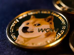 Federal Investigators Say Certain DOGE Records Were Deleted