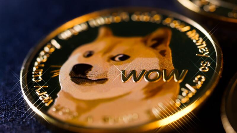 Federal Investigators Say Certain DOGE Records Were Deleted