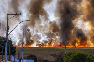 Prediction Markets Let You Bet on Whether a Wildfire Will Burn Down Your Town