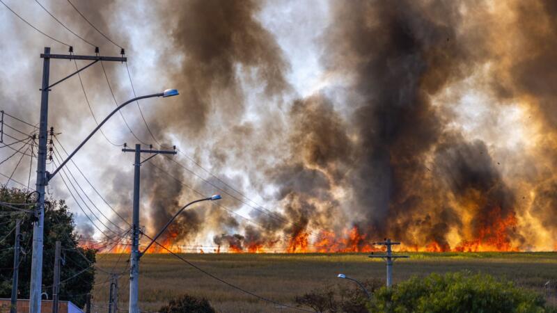 Prediction Markets Let You Bet on Whether a Wildfire Will Burn Down Your Town